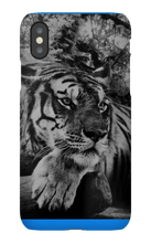 swyzz_jolino iPhone Phone Cases