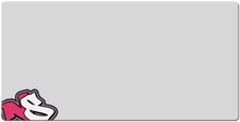 nubshotactual XXL Gaming Mousepad