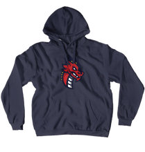 amirrezaprokser-3700 Hoodies (No-Zip/Pullover)