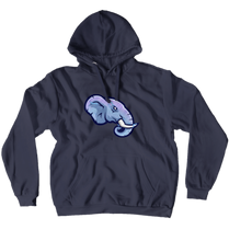 Hoodie (No-Zip/Pullover) Light blue