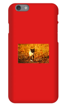 Aidan Rockel-Bigus iPhone Phone Cases