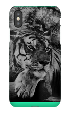 swyzz_jolino iPhone Phone Cases