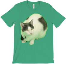Scuffed Kitty