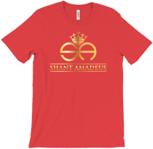 SA Tshirt