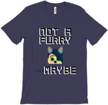 No History T-Shirt - Not A Furry