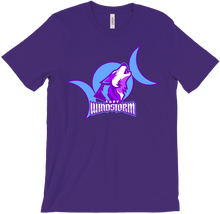 ladywindstorm T-Shirts