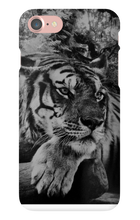 swyzz_jolino iPhone Phone Cases