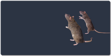 Mousepad XXL de vieux rat