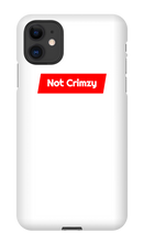 pt_not_a_qt iPhone Phone Cases