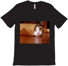 Funny Taco Cat T-Shirt