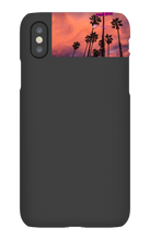 palm seas limited case