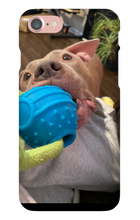 doggoasmr iPhone Phone Cases