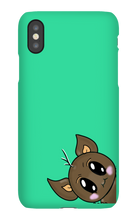 PO Cases