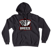breezethruyou Hoodies (No-Zip/Pullover)
