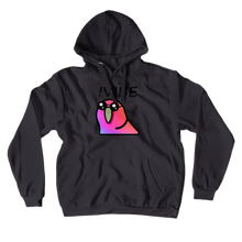 Hoodies (No-Zip/Pullover)