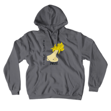 xSuperSaiyan Hoodies