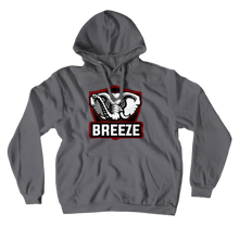 breezethruyou Hoodies (No-Zip/Pullover)