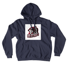 alve1971gaming Hoodies (No-Zip/Pullover)