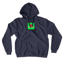 blaizevlogs Hoodies (No-Zip/Pullover)