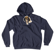 amorosoviolin Hoodies (No-Zip/Pullover)