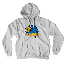 Hawksy Hoodies (No-Zip/Pullover)