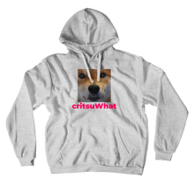 critsuWhat Hoodie
