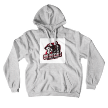 alve1971gaming Hoodies (No-Zip/Pullover)