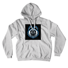 p4nd1xd Hoodies (No-Zip/Pullover)