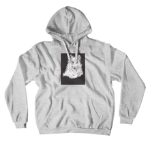 drehferreirabr Hoodies (No-Zip/Pullover)