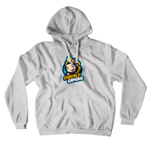 chicolegaming-6911 Hoodies (No-Zip/Pullover)
