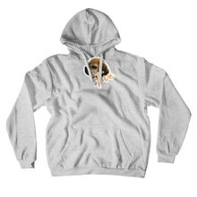 amorosoviolin Hoodies (No-Zip/Pullover)