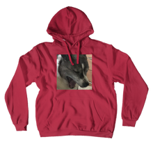 fezinafish Hoodies (No-Zip/Pullover)