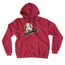 Ayacacha Hoodie