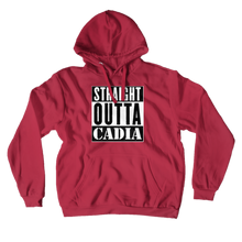 adamjones-2608 Hoodies (No-Zip/Pullover)