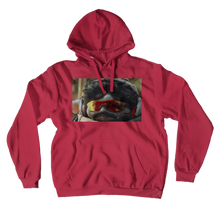 bossanater17 Hoodies (No-Zip/Pullover)