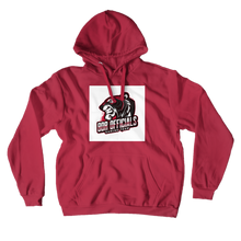 alve1971gaming Hoodies (No-Zip/Pullover)