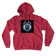 p4nd1xd Hoodies (No-Zip/Pullover)