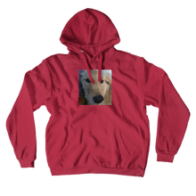 alararis Hoodies (No-Zip/Pullover)