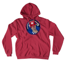 darkflufz85-4195 Hoodies (No-Zip/Pullover)