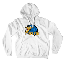Hawksy Hoodies (No-Zip/Pullover)