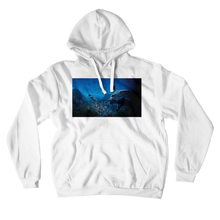 hardenberg Hoodies (No-Zip/Pullover)