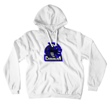 casualha Hoodies (No-Zip/Pullover)