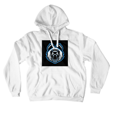 p4nd1xd Hoodies (No-Zip/Pullover)