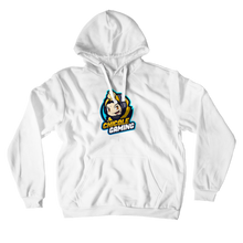 chicolegaming-6911 Hoodies (No-Zip/Pullover)