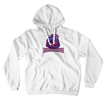 blitzryu-8672 Hoodies (No-Zip/Pullover)