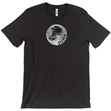 silvershothdtv T-Shirts
