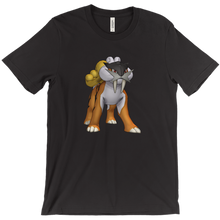 danyv1pokelandlegends T-Shirts