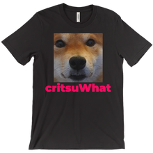 critsuWhat T-Shirt