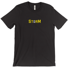 stormhue0 T-Shirts