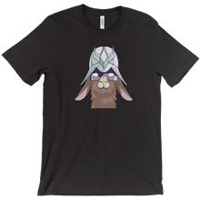 dirty_llama_models T-Shirts